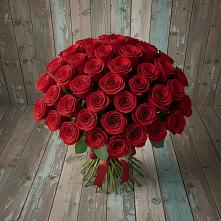 Букет 55 Красных роз Фридом #REPLACE_PRED# Тополево