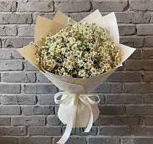Букет цветов из:  Ромашки в Тополево