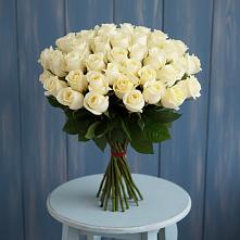 Букет 51 Белая роза Эдлесс Лав #REPLACE_PRED# Тополево