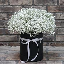 Цветочная композиция из Гипсофила в шляпной коробке в Тополево