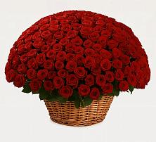 Премиум букет из: Розы в Тополево